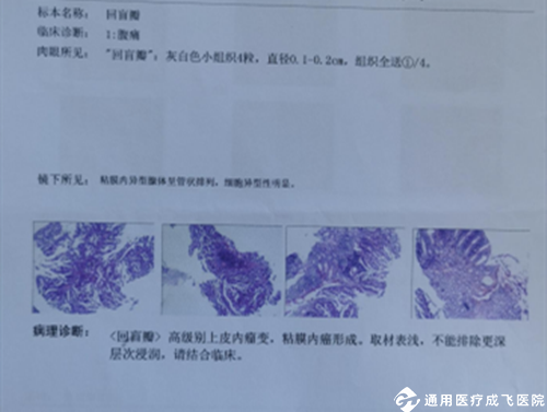 图片4_副本_副本.png