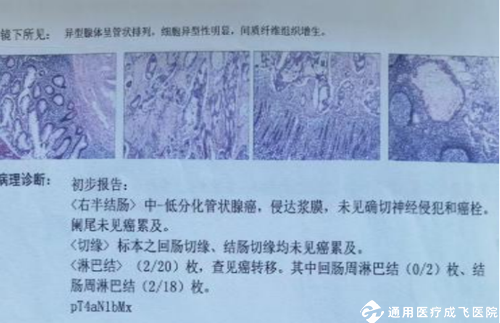 图片10_副本_副本.png