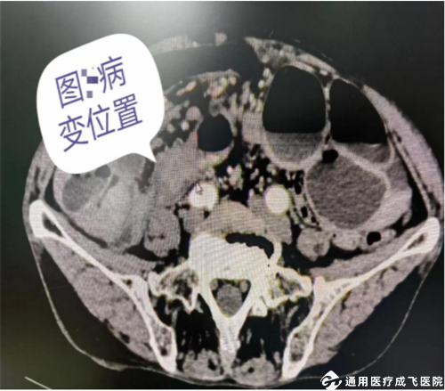 图片7_副本_副本.png
